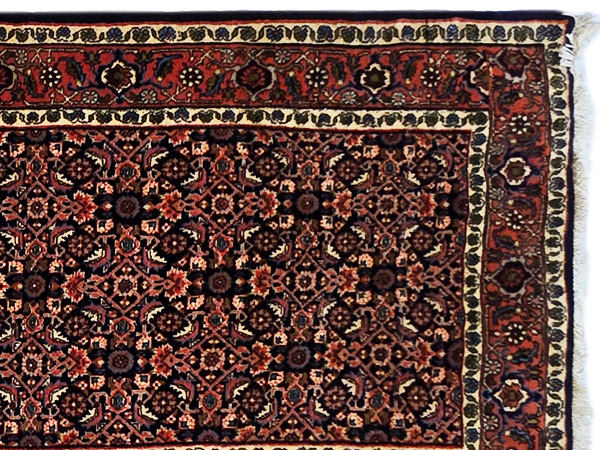Close-up of Bidjar rug border and central medallion pattern in dark red and black.