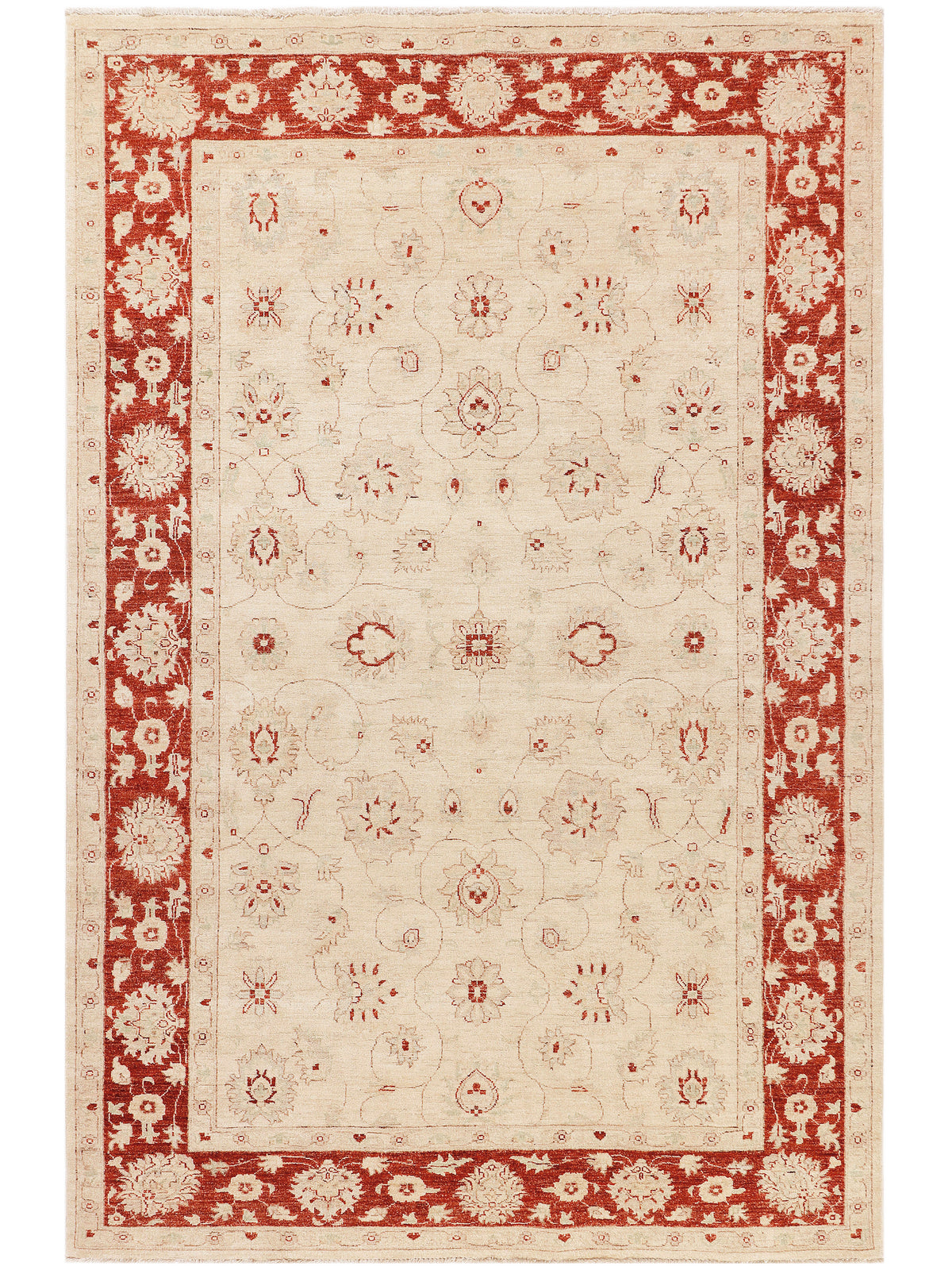 Ziegler Afghan rug, cream field with red border and detailed corner motifs