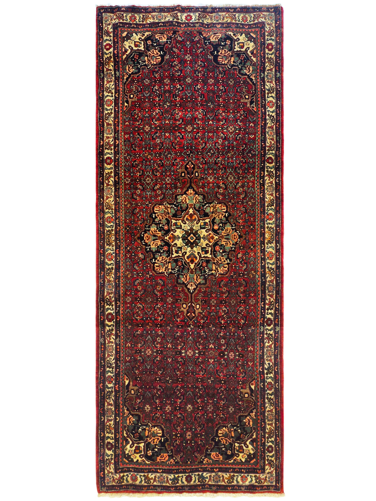 Bidjar rug straight-on, red field with central medallion, blue and cream border design