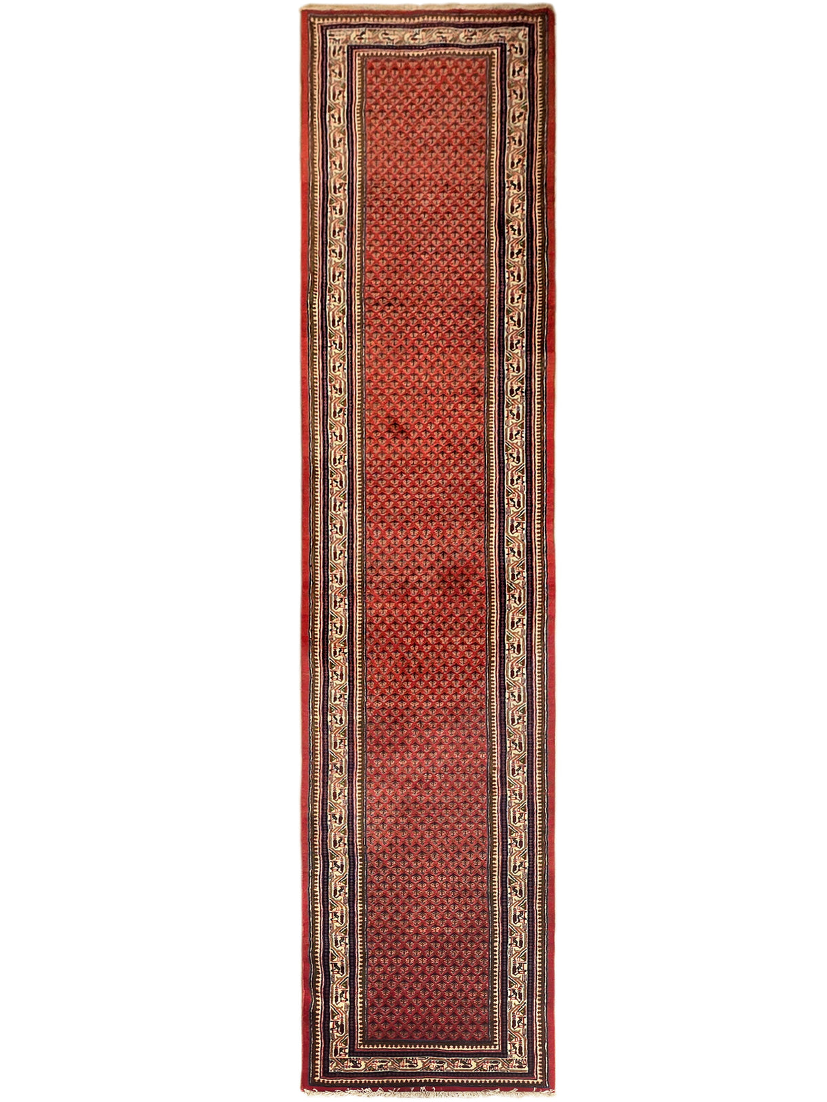 Tall narrow red rug with dark border and central geometric diamond pattern