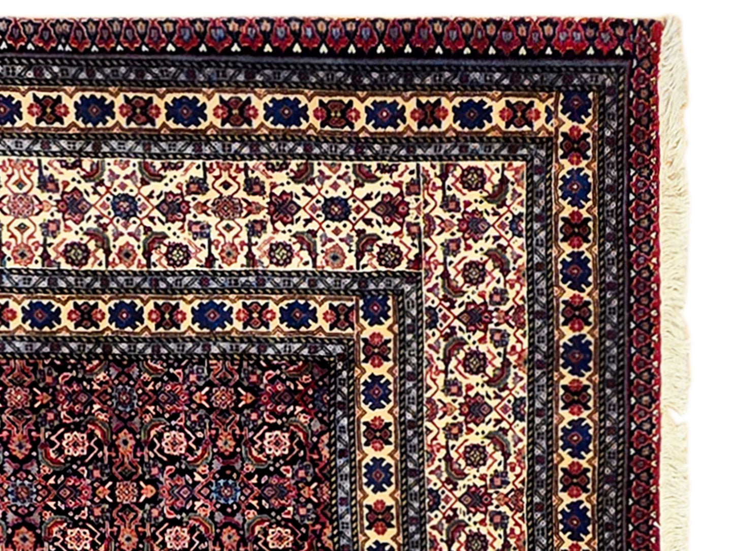 Sarab Rug - 305x212 cm
