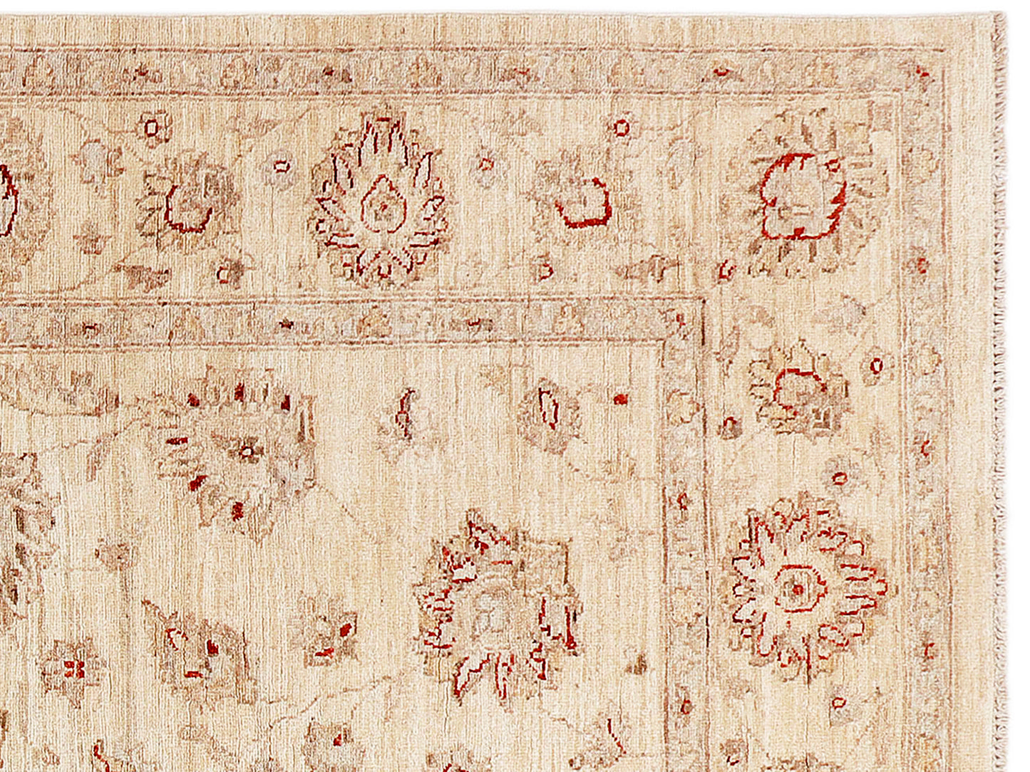 Ziegler Afghan Rug - 295x205 cm