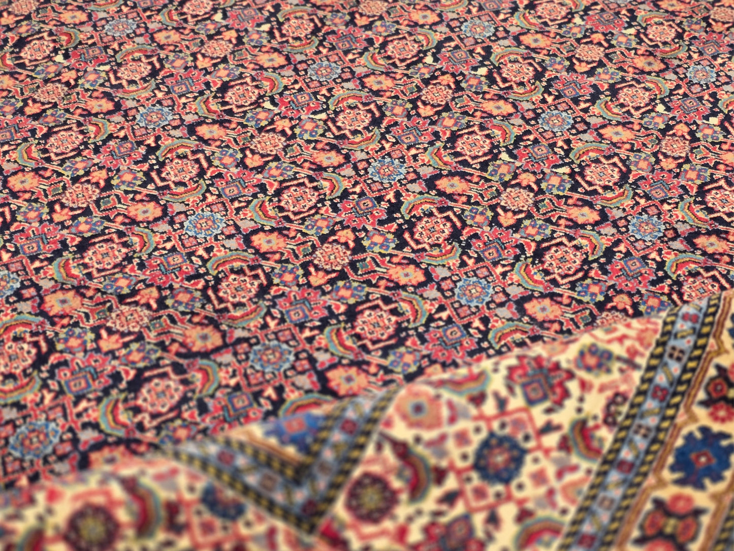 Sarab Rug - 305x212 cm