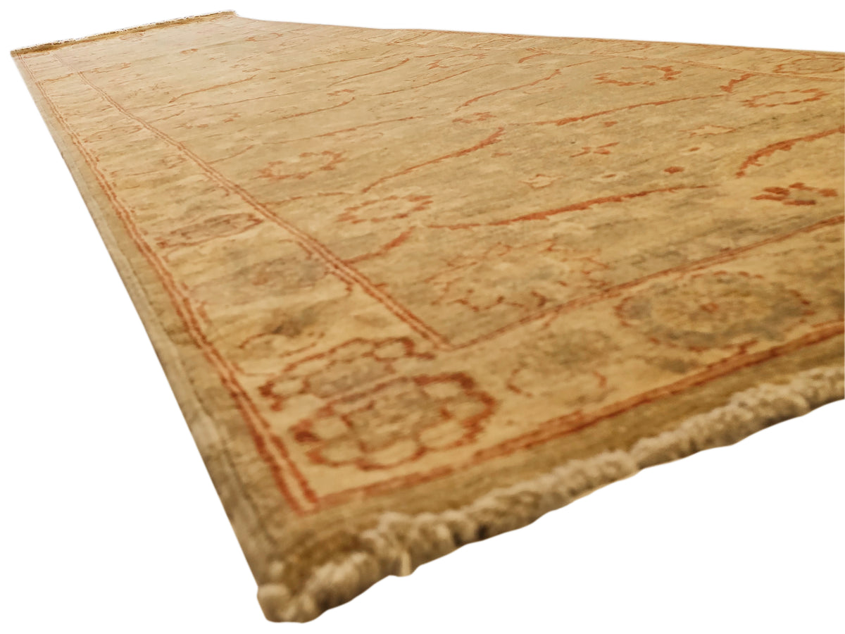 Vintage runner rug top view, beige with rust border and faded floral medallion pattern