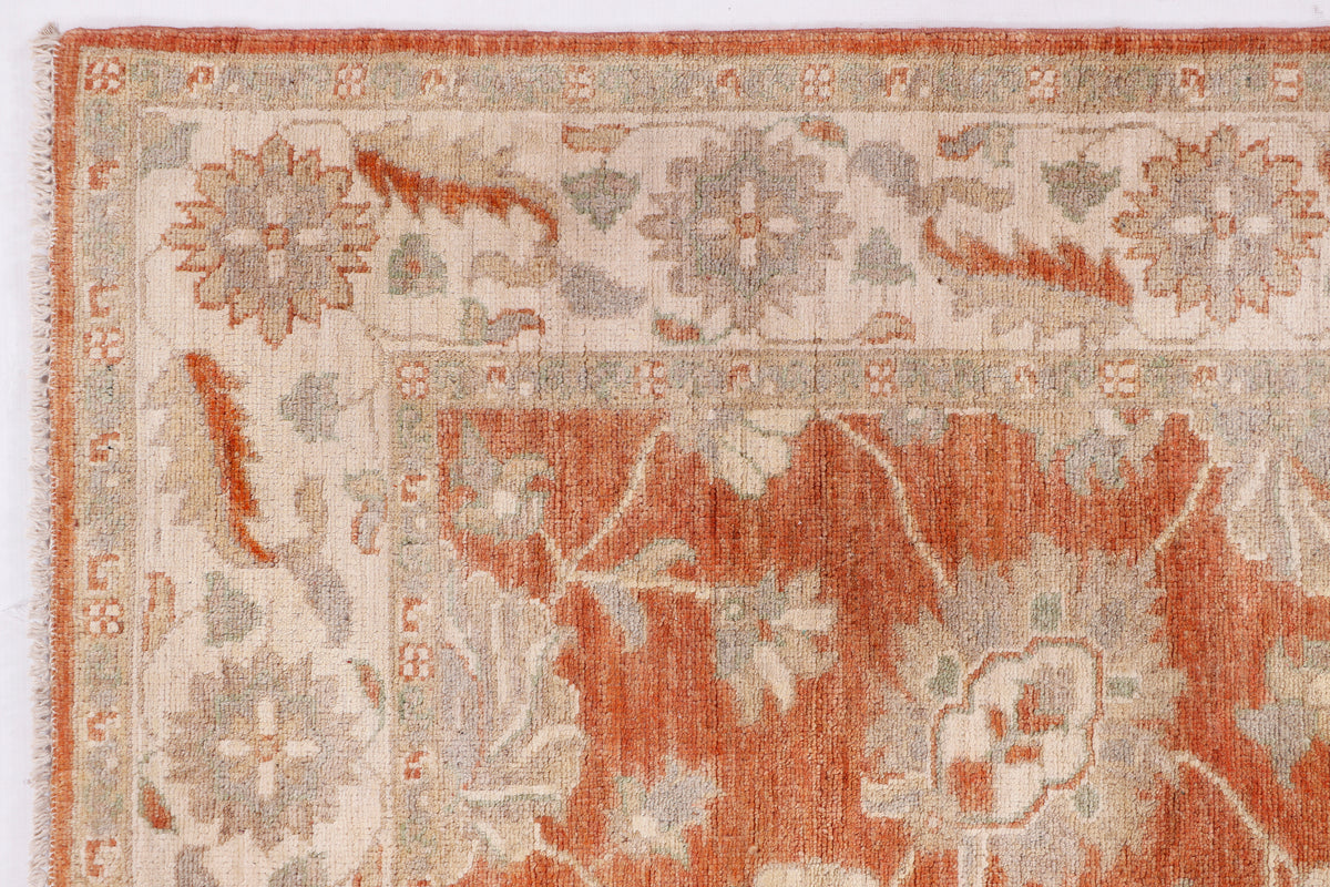 Terracotta and cream patterned area rug with ornate motifs and border trim.
