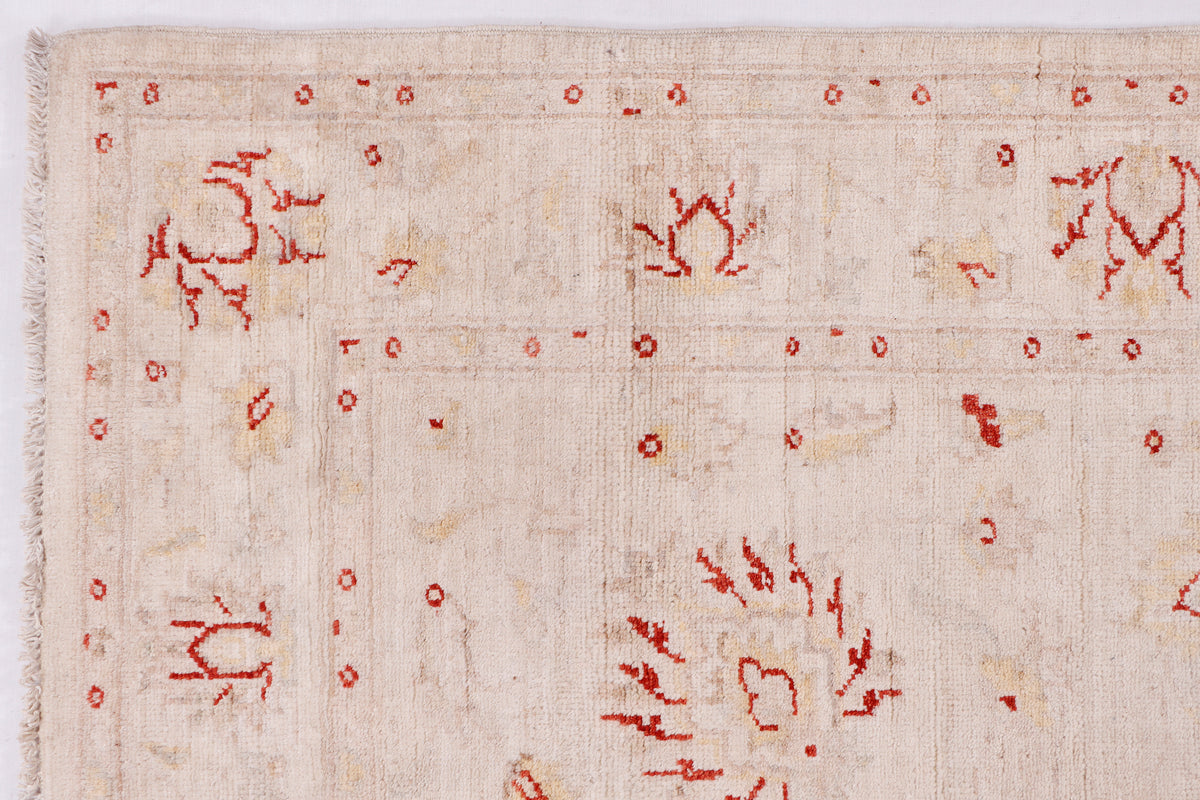 Beige rug with red motif pattern and border, close-up of central area