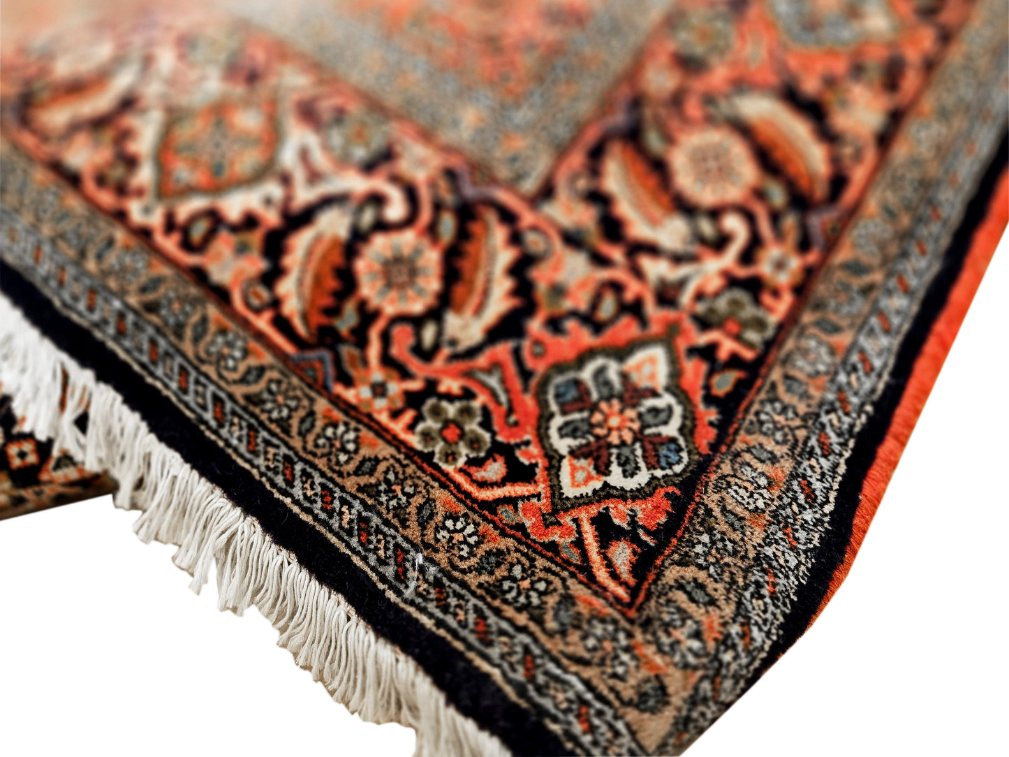 Bidjar Rug - 252x174cm