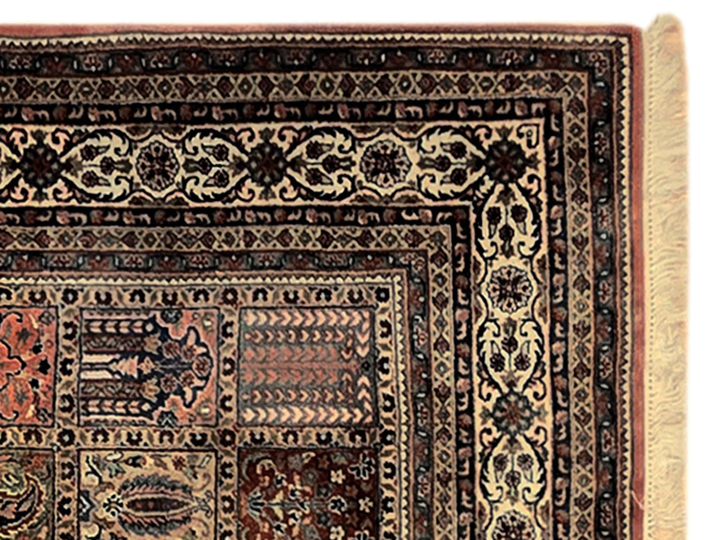 Qum bacterie Rug - 296x200 cm
