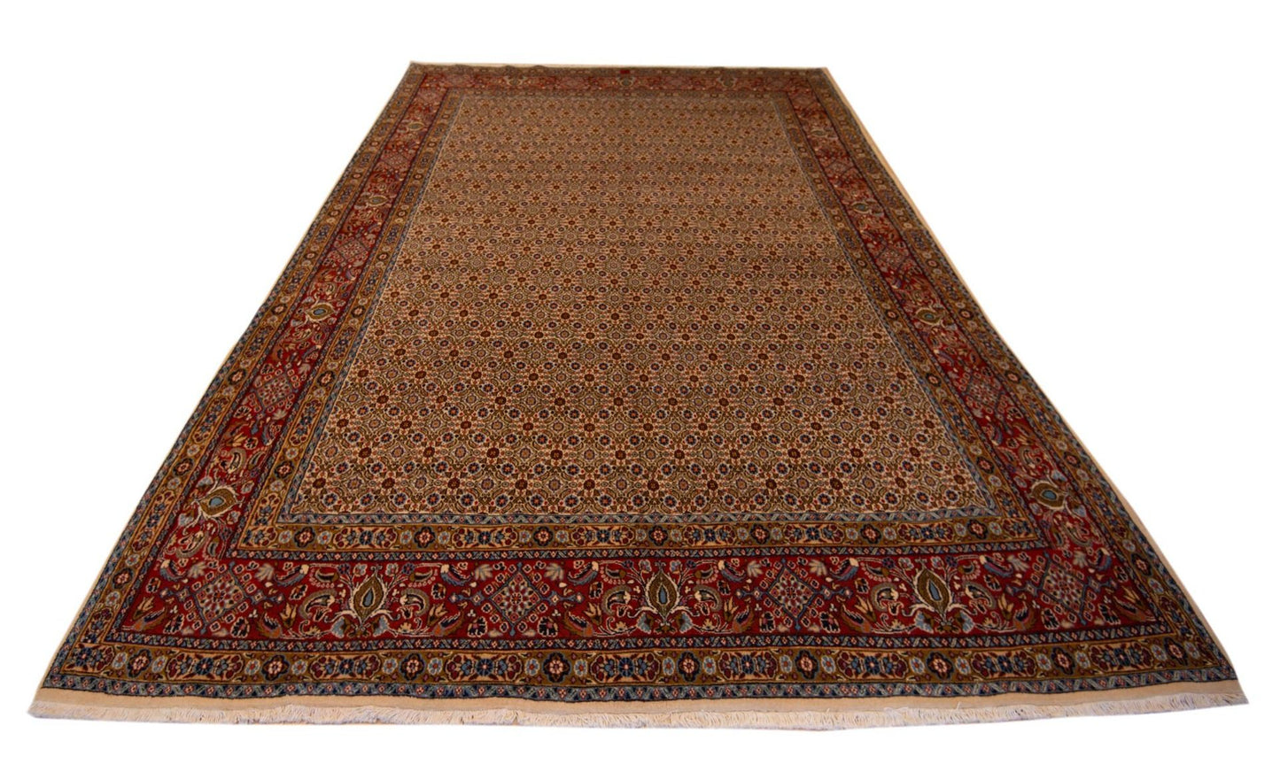 Moud Rug - 347x240 cm