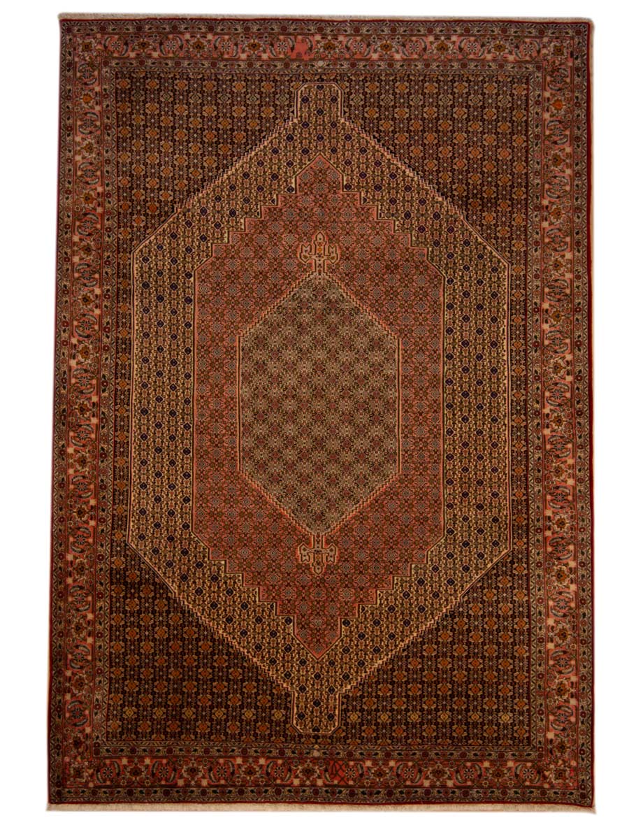 Sanneh Rug - 353x245 cm