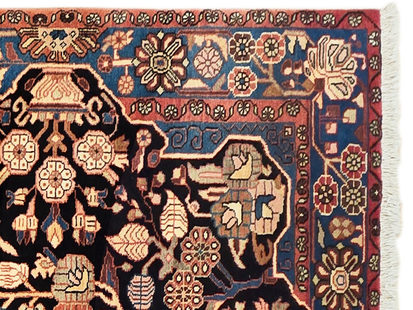 Nahawaand Rug - 265x155 cm