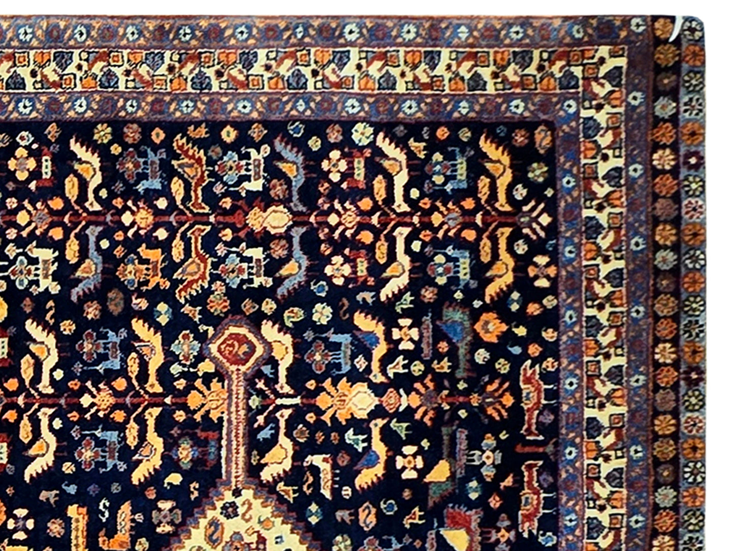 Loribaft Rug - 238x175 cm