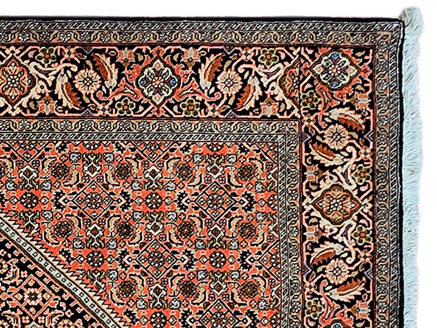 Bidjar Rug - 252x174cm