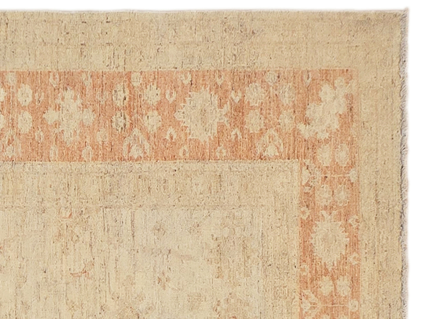 Ziegler Rug - 240x172 cm