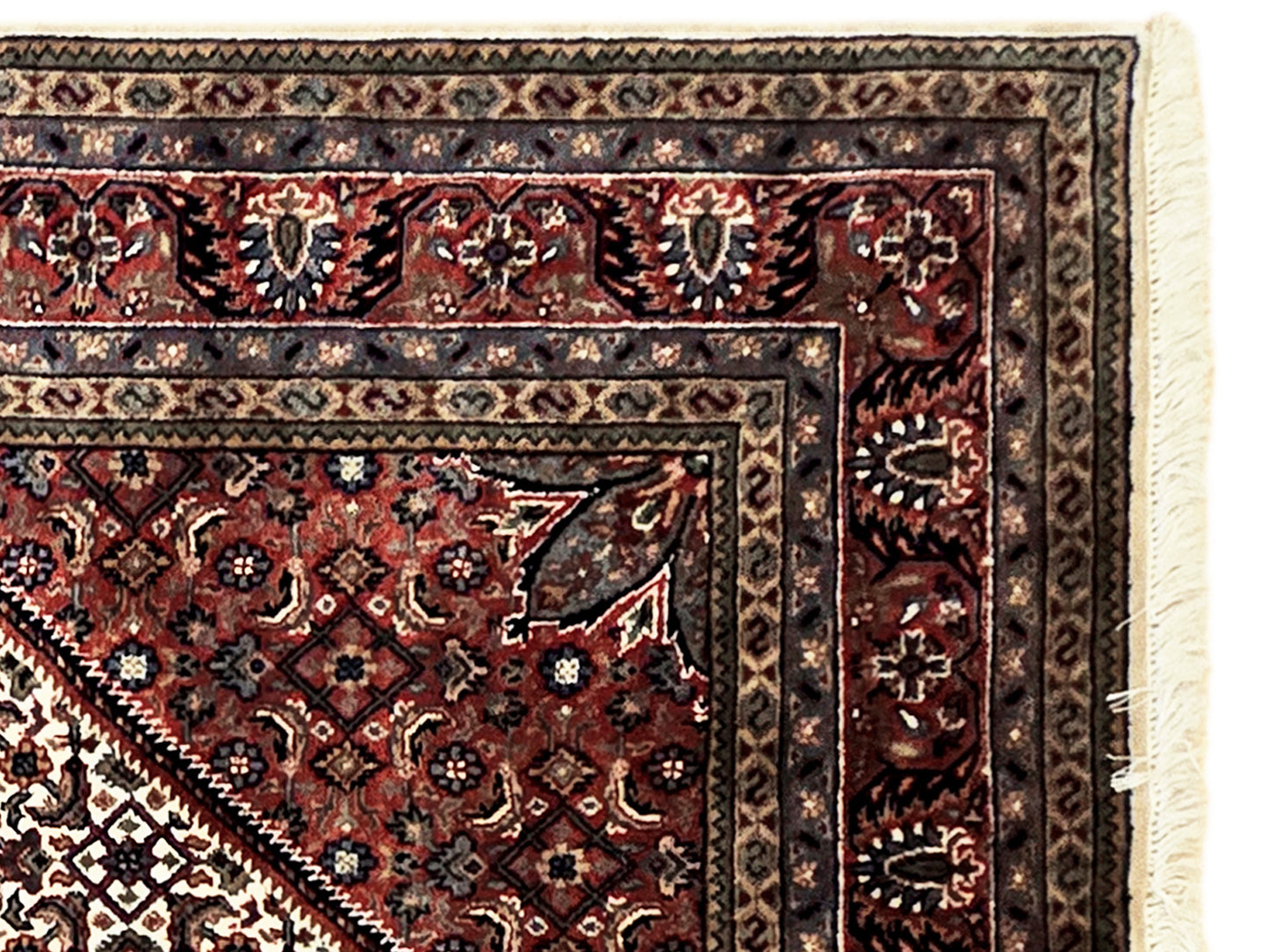 Bidjar Rug - 235x177 cm