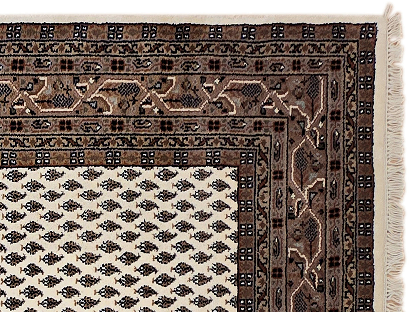 Mir Rug - 245x170 cm